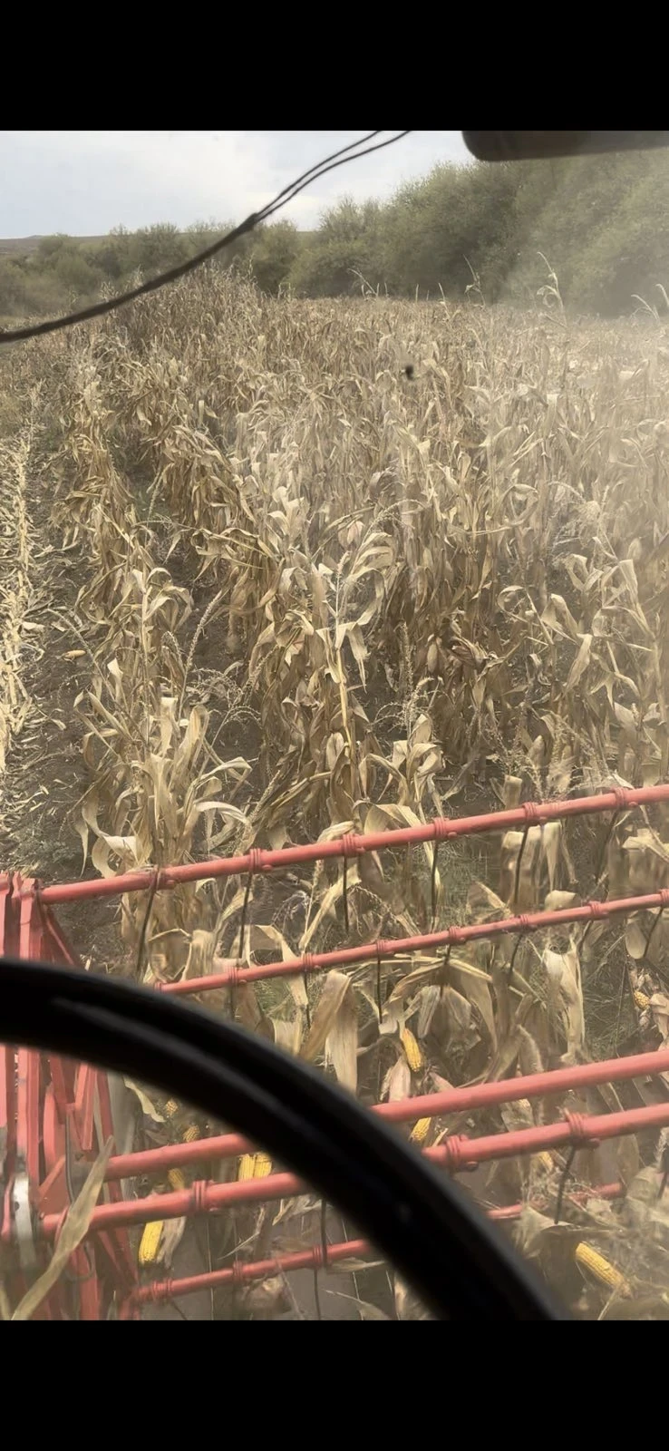 Комбайн Claas, снимка 9 - Селскостопанска техника - 54038898