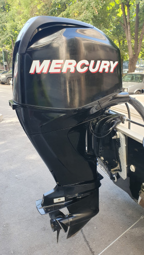       Mercury Mercuri 60EFI