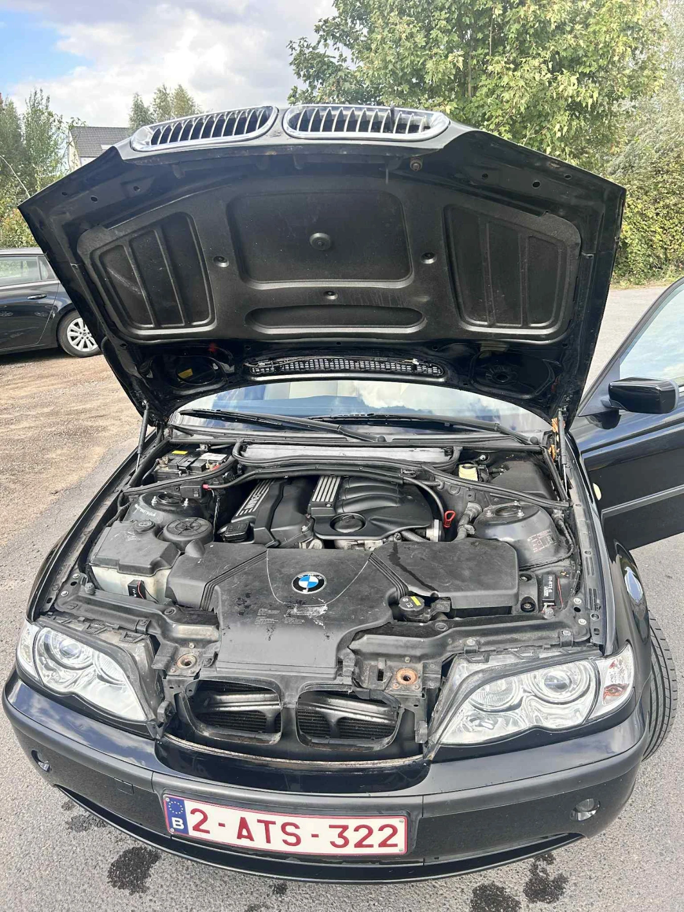 BMW 318  - изображение 5