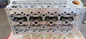 Глава, снимка 2