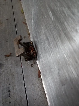 Полуремарке Schmitz SW24, снимка 16