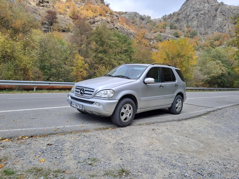 Mercedes-Benz ML 270, снимка 2 - Автомобили и джипове - 49071152