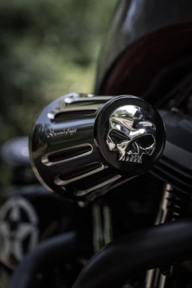 Harley-Davidson Sportster Custom 48 | Mobile.bg    2