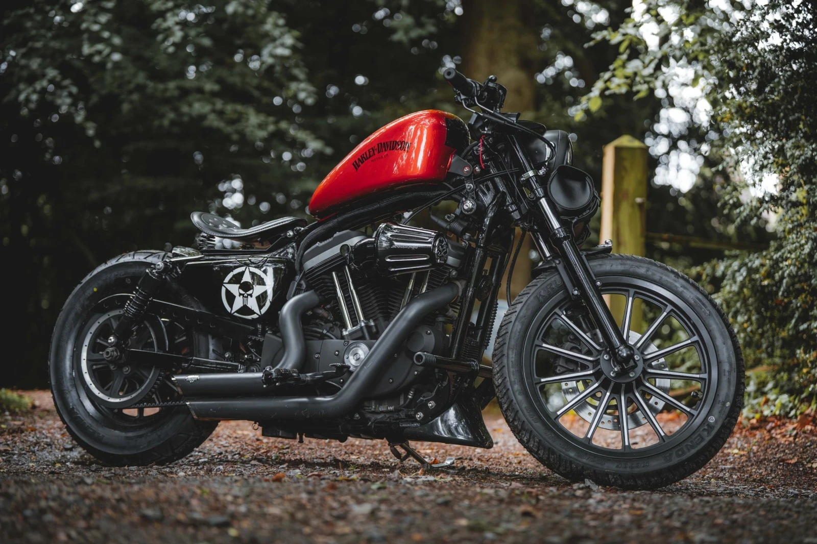 Harley-Davidson Sportster Custom 48 - изображение 5