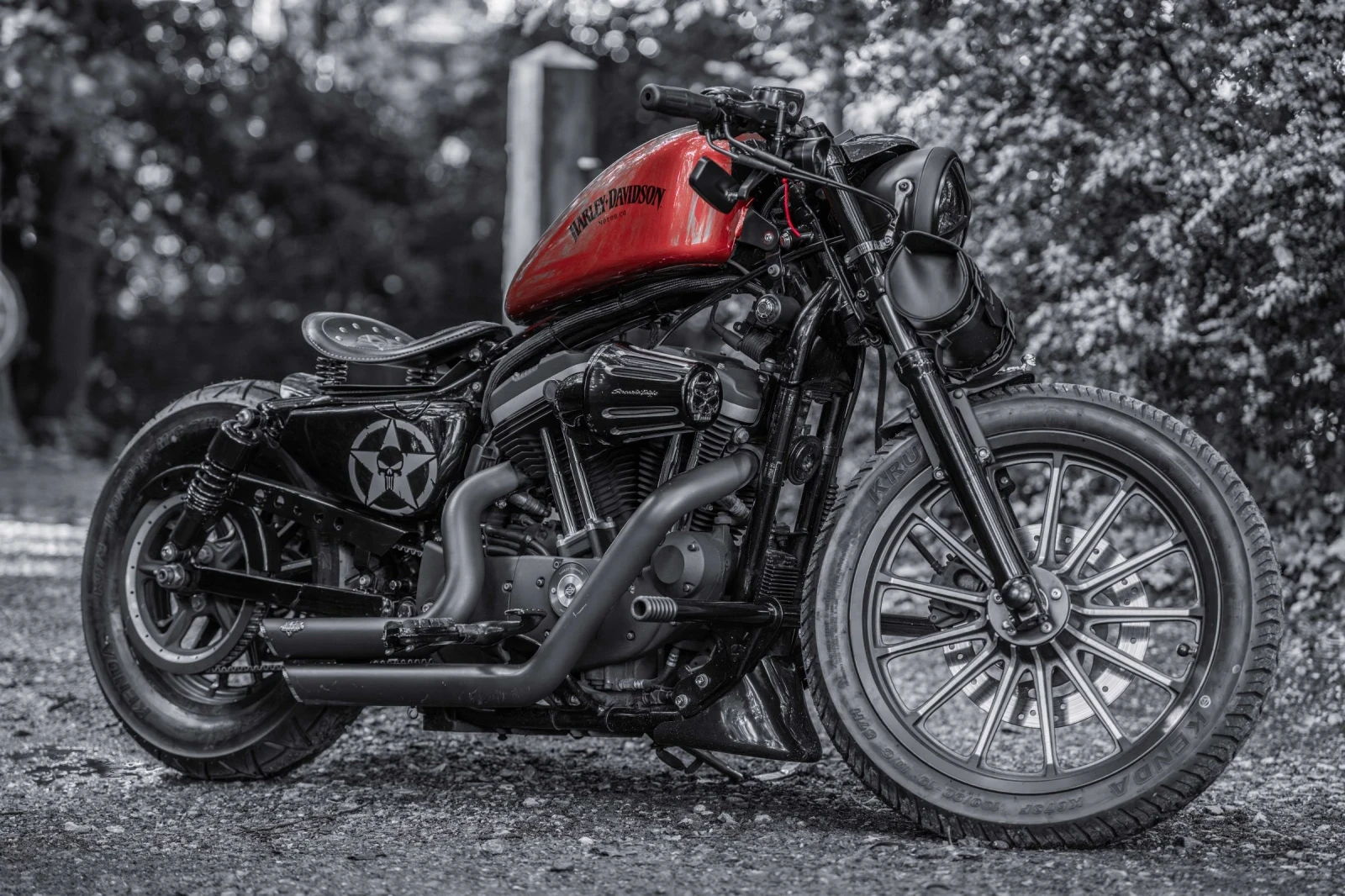 Harley-Davidson Sportster Custom 48 - изображение 4
