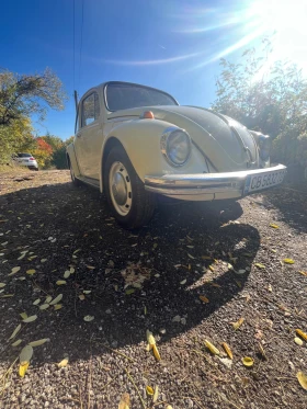     VW 1300