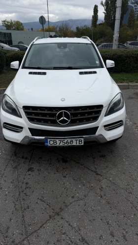 Mercedes-Benz ML 350 BlueTEC, снимка 1