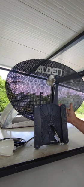    Alden      | Mobile.bg    15