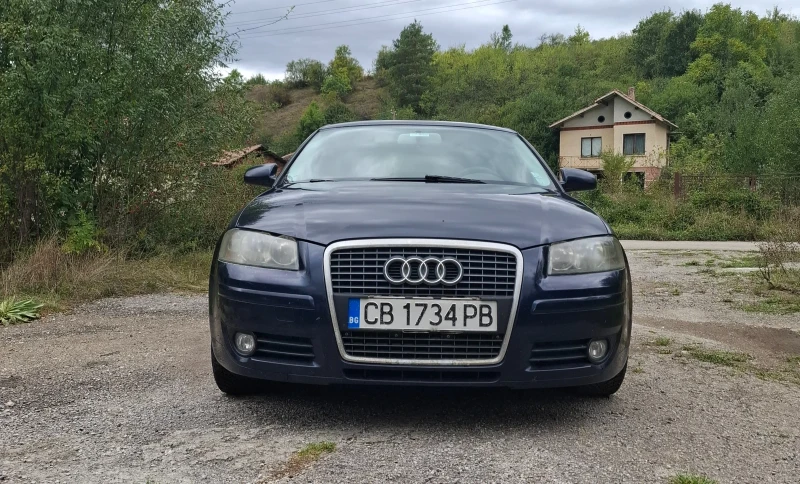 Audi A3 8PA Sportback, снимка 2 - Автомобили и джипове - 47246009