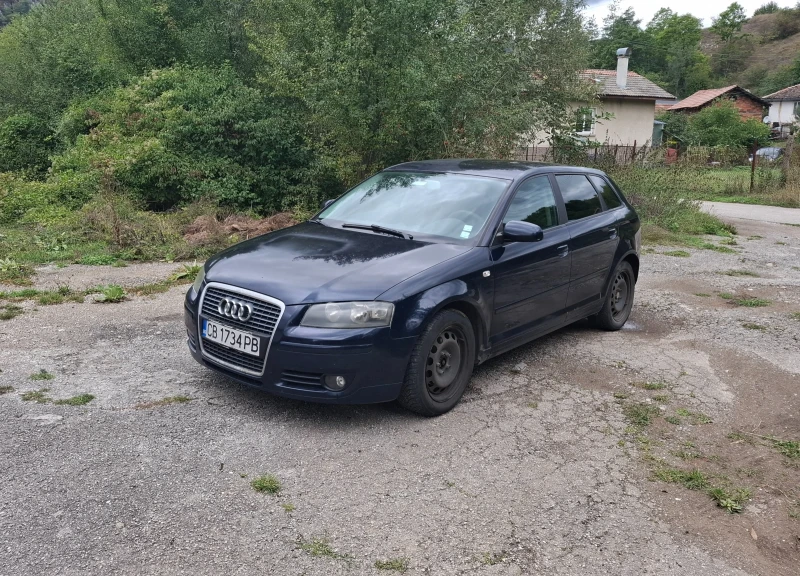 Audi A3 8PA Sportback, снимка 1 - Автомобили и джипове - 47246009