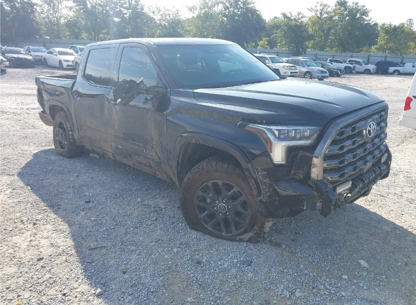 Toyota Tundra PLATINUM - изображение 7