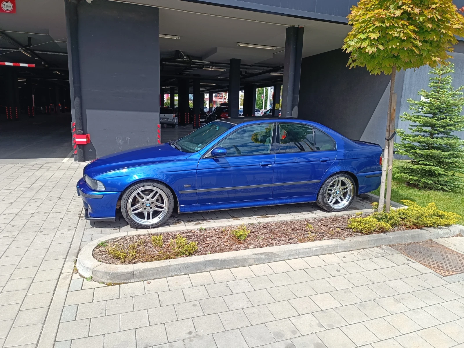 BMW 525 d заводски M-pack 163кс | Mobile.bg — изображение 3