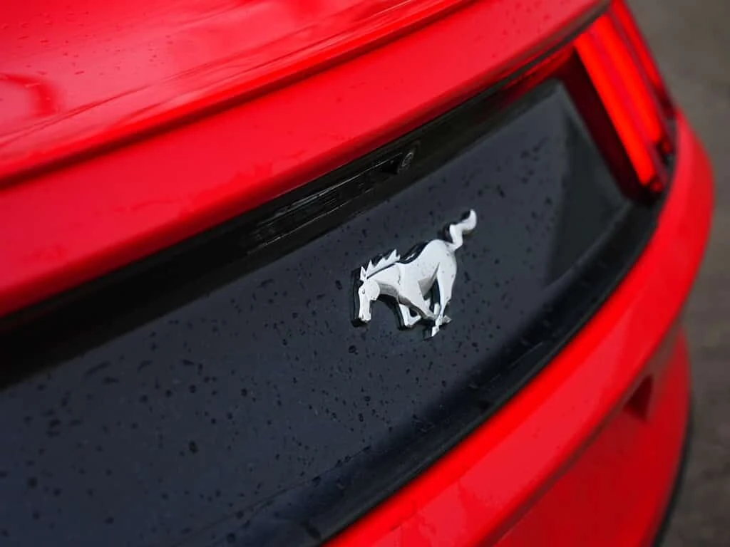 Ford Mustang * ECOBOOST PREMIUM | BSM | BACK UP CAMERA | HEATED, снимка 15 - Автомобили и джипове - 53948359