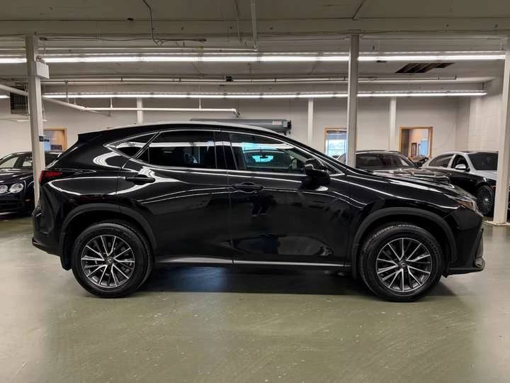 Lexus NX 250 - изображение 2