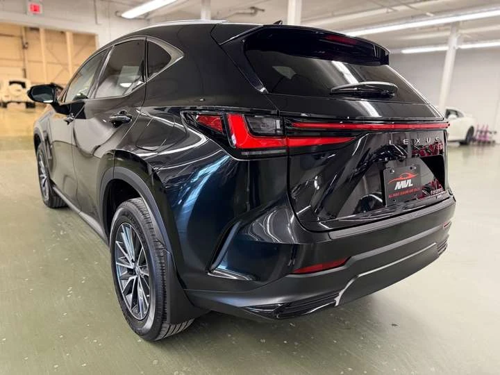 Lexus NX 250 - изображение 5