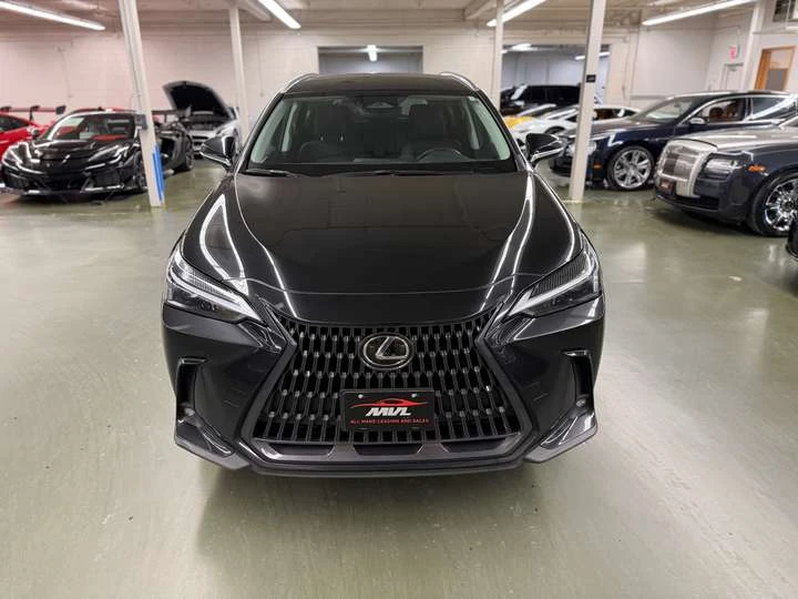 Lexus NX 250 - изображение 7