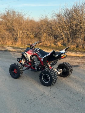 Yamaha Raptor, снимка 2