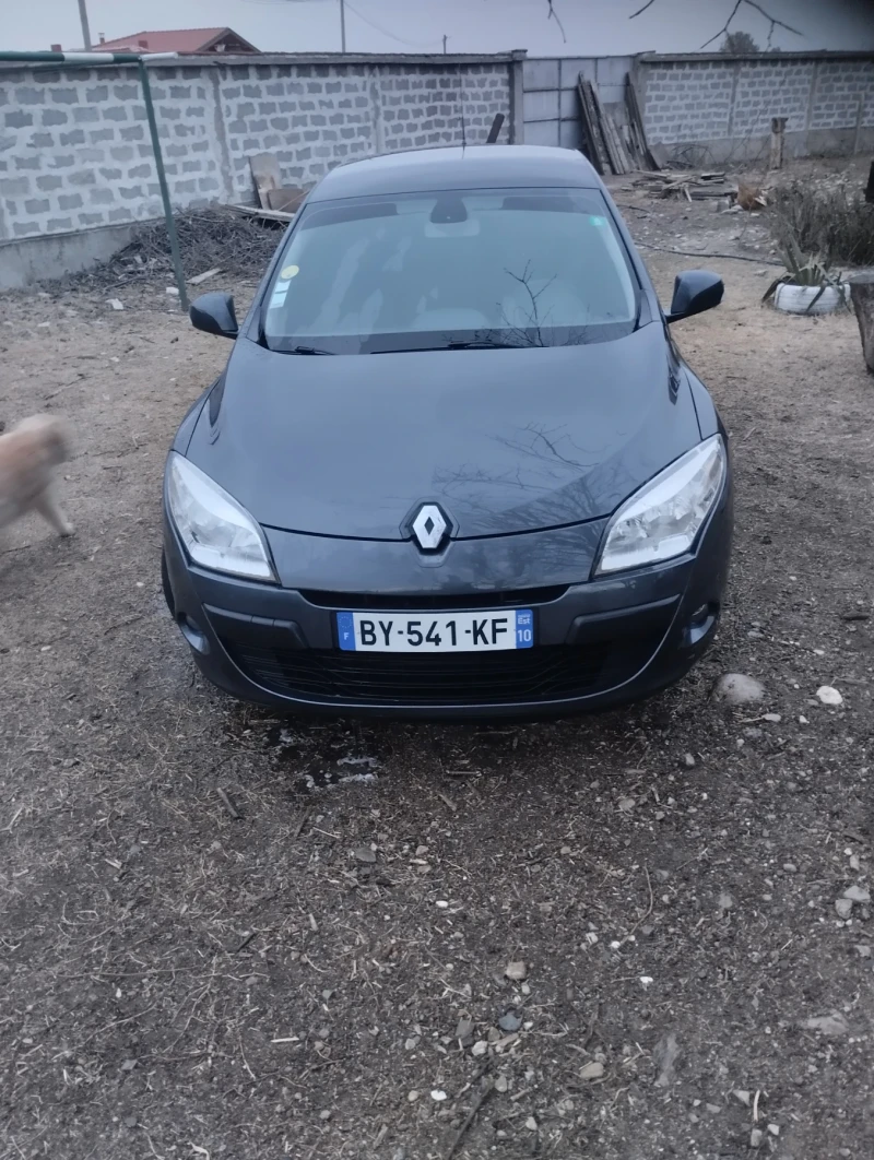 Renault Megane 1, 9Дци, снимка 1 - Автомобили и джипове - 49471243