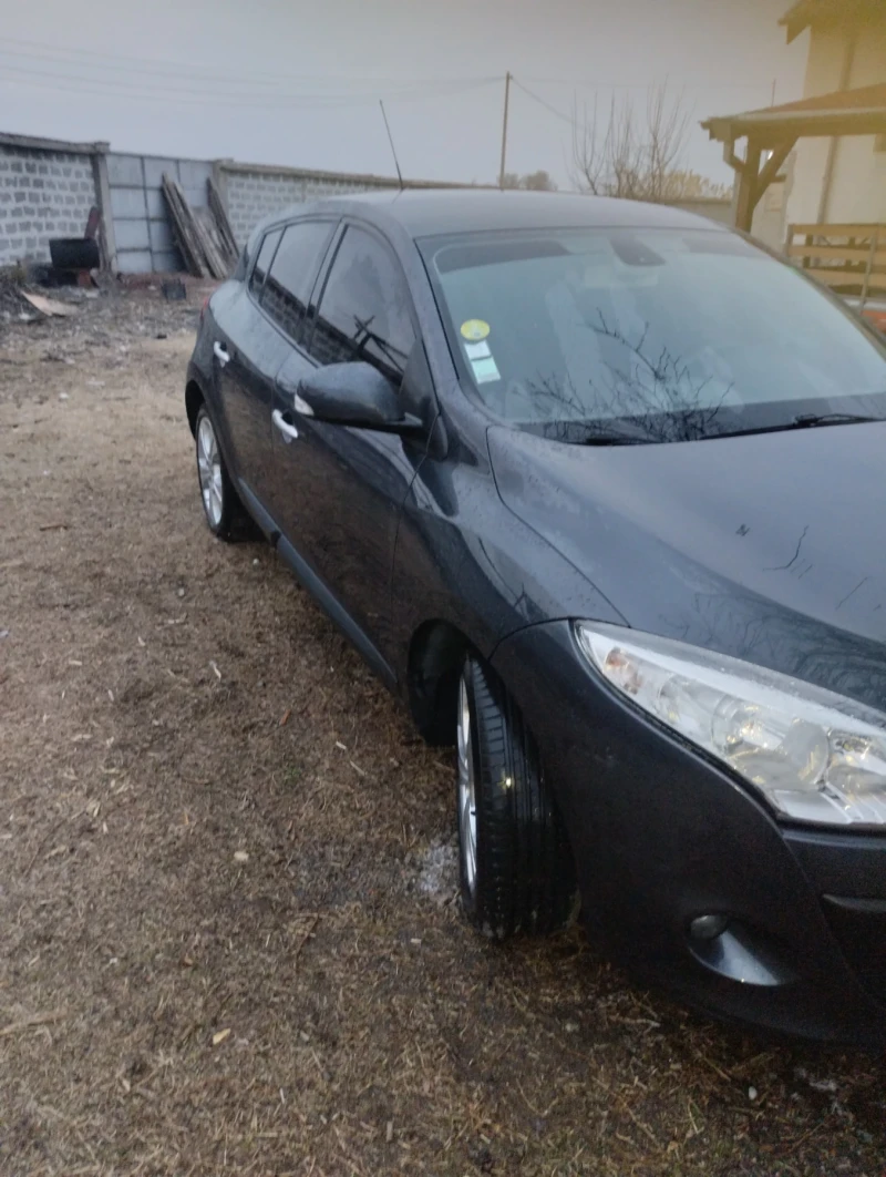 Renault Megane 1, 9Дци, снимка 2 - Автомобили и джипове - 49471243