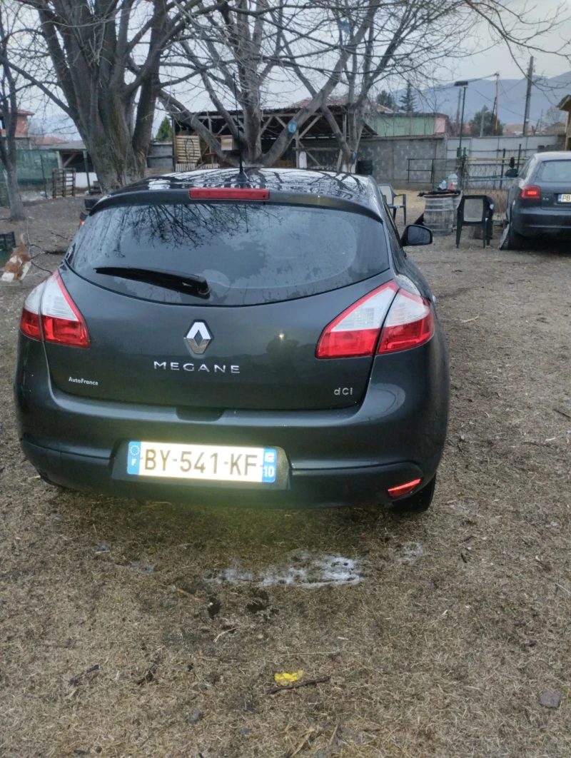 Renault Megane 1, 9Дци, снимка 3 - Автомобили и джипове - 49471243