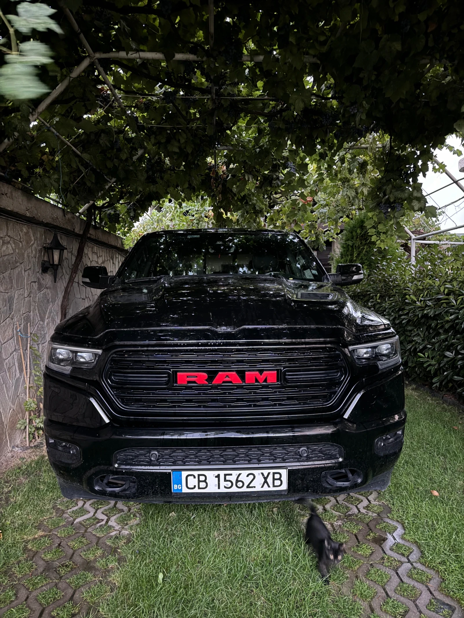 Dodge RAM 1500 Limited Red Edition | Mobile.bg   1