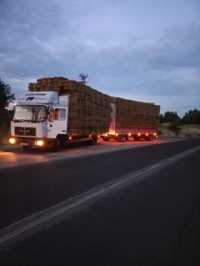 ����� �� �������� �� Man 14 14 272