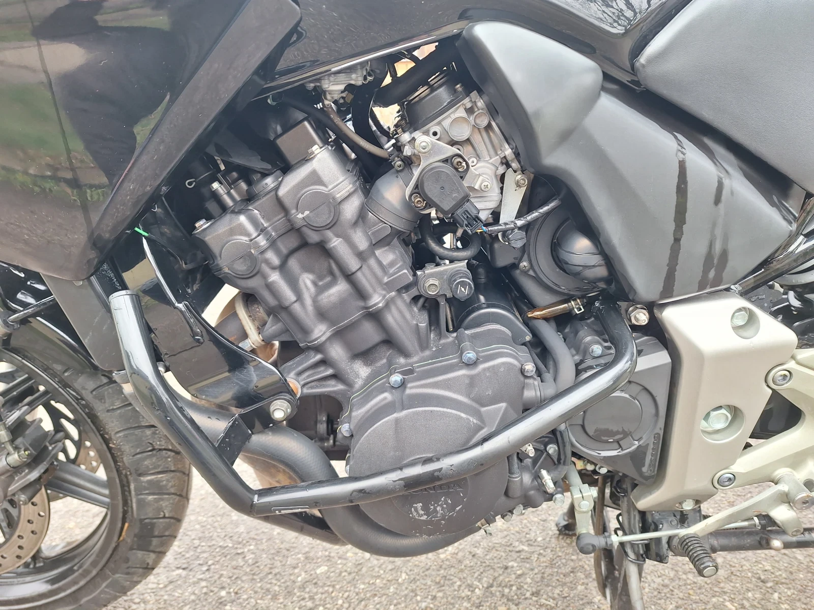 Honda Cbf 600  - изображение 7