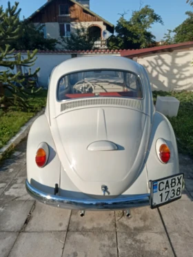 VW 1200 - 15900 € - 37187822 17