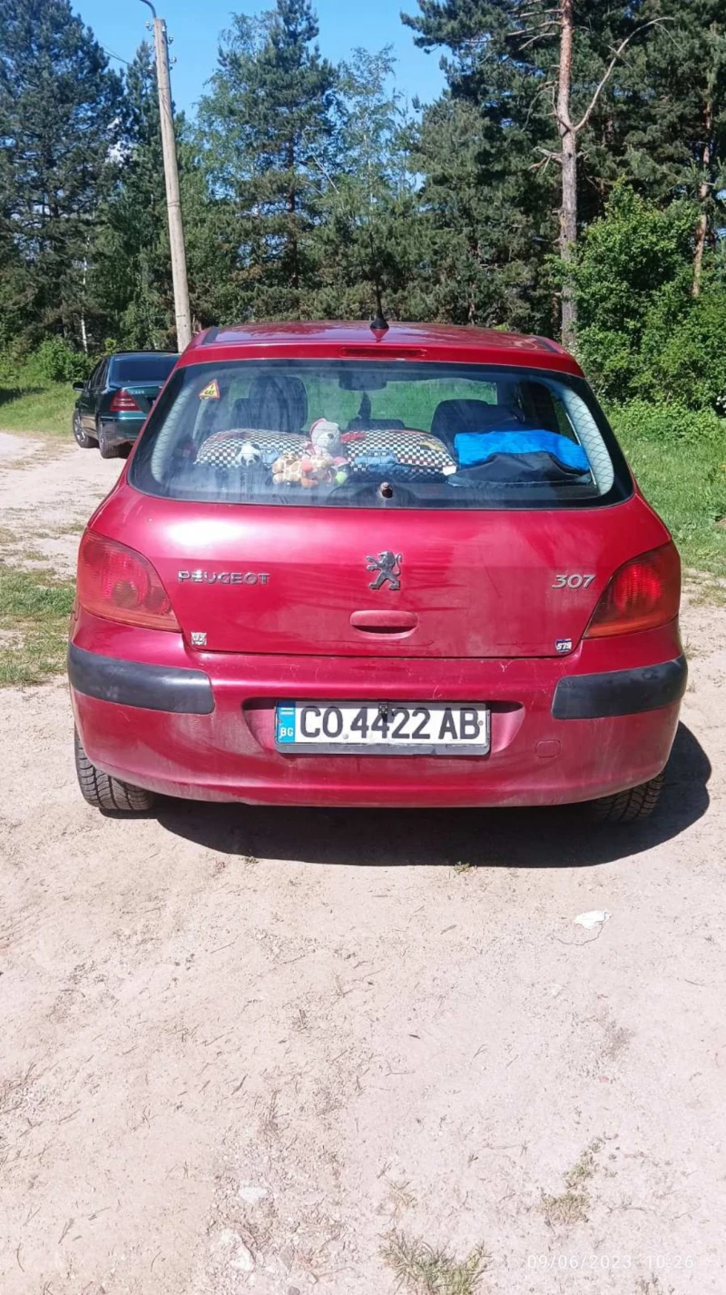 Peugeot 307 2003, снимка 3 - Автомобили и джипове - 48126839