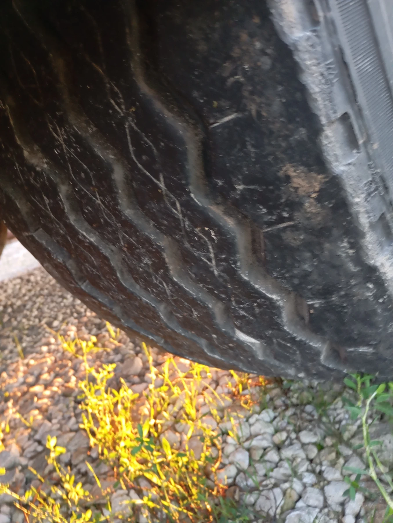 ����������� Schwarzmuller | Mobile.bg � ����������� 7