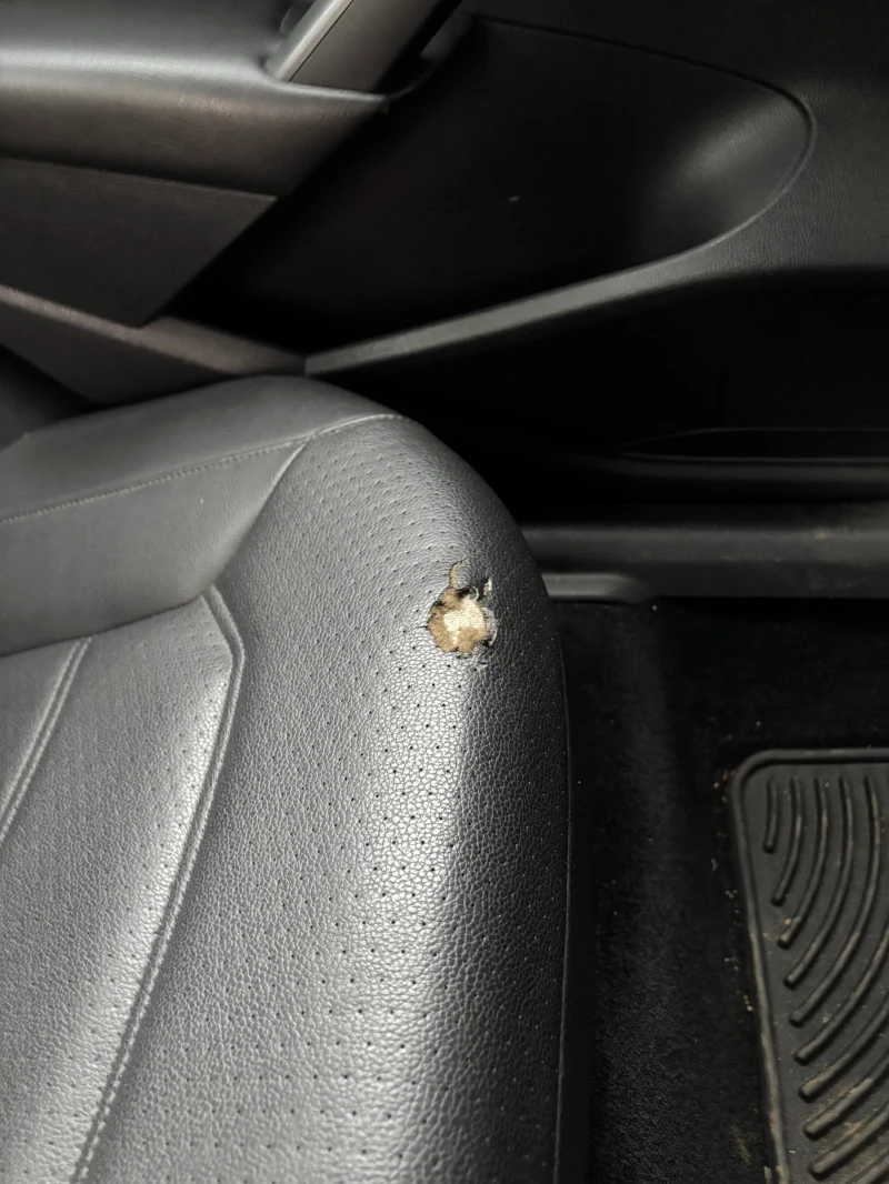 VW Passat NMS, снимка 11 - Автомобили и джипове - 52567282