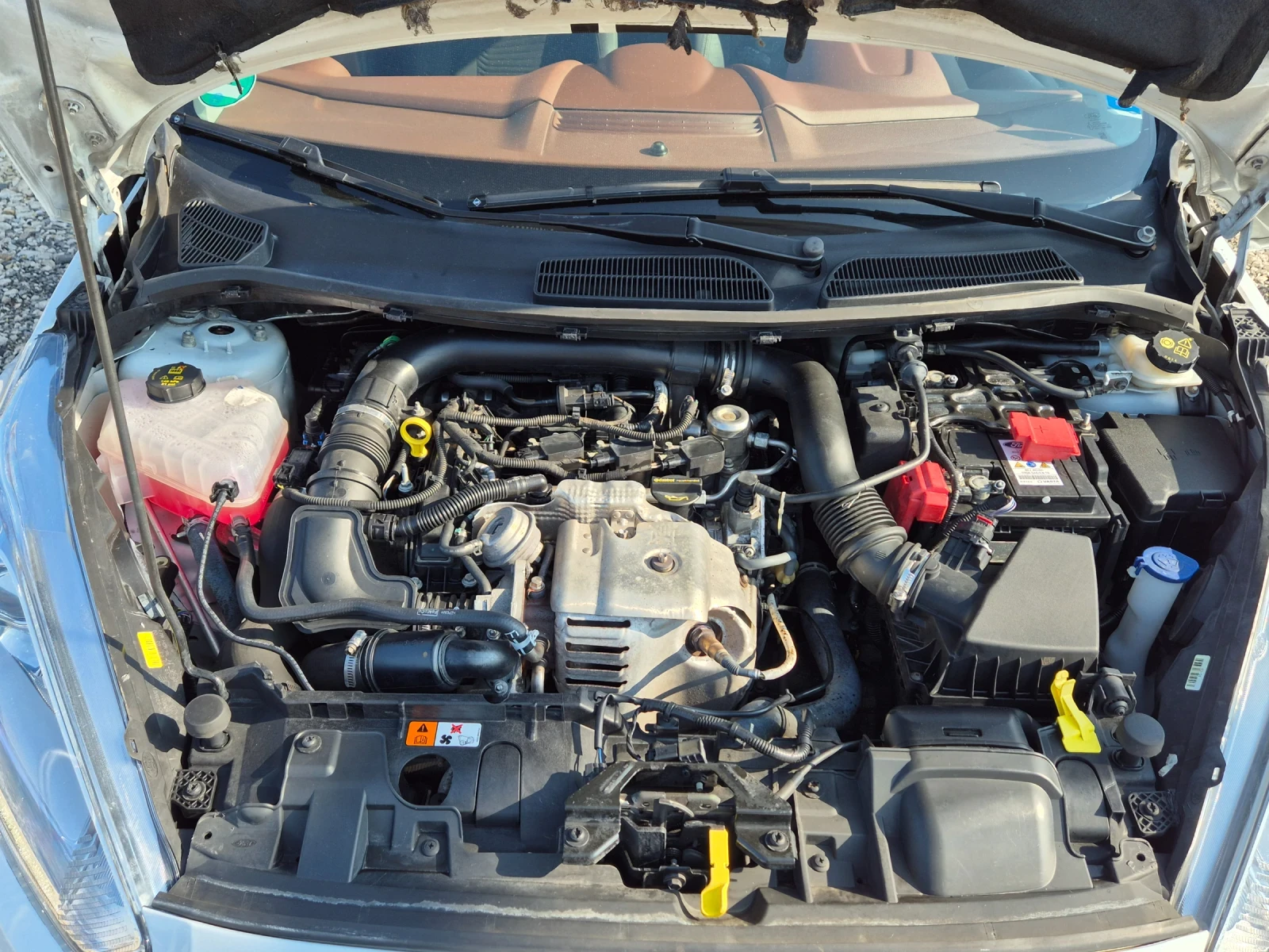 Ford Fiesta Titanium ST-line | Mobile.bg   13