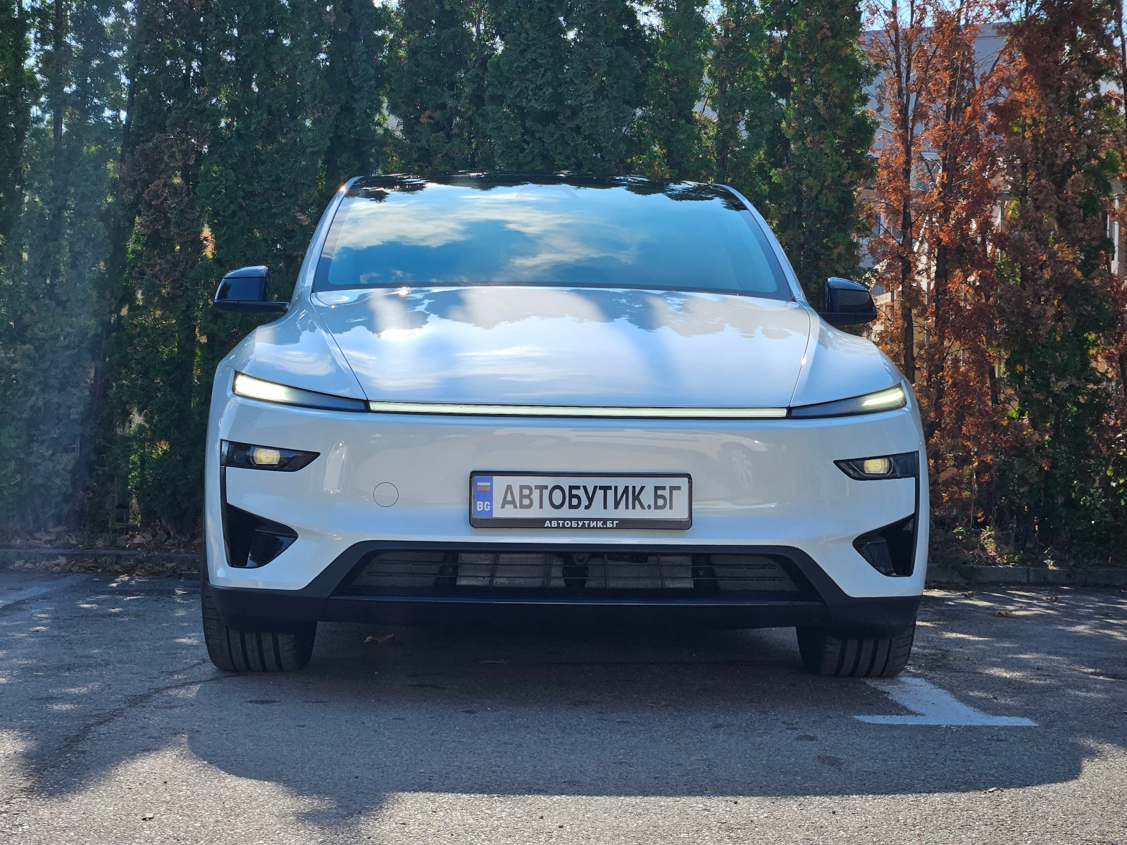 Tesla Model Y Juniper Performance - изображение 2