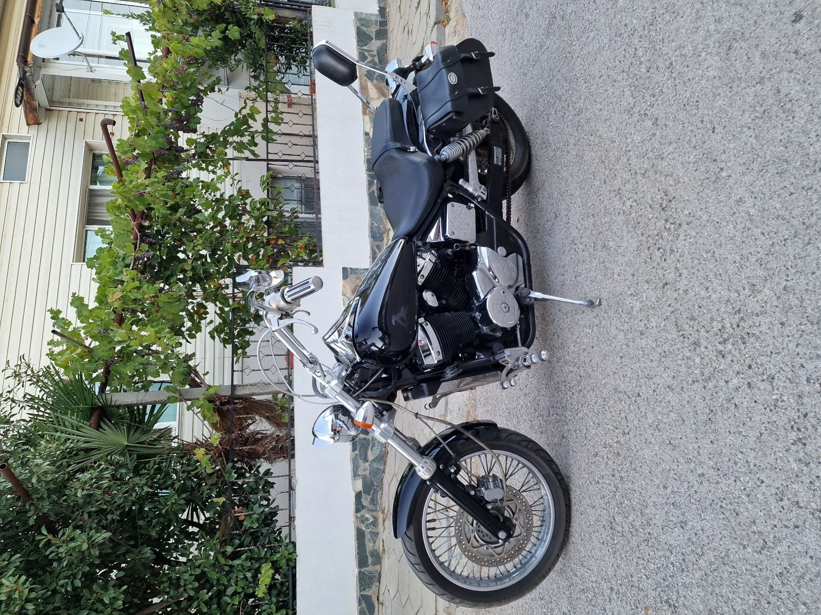 Honda Shadow  - изображение 2