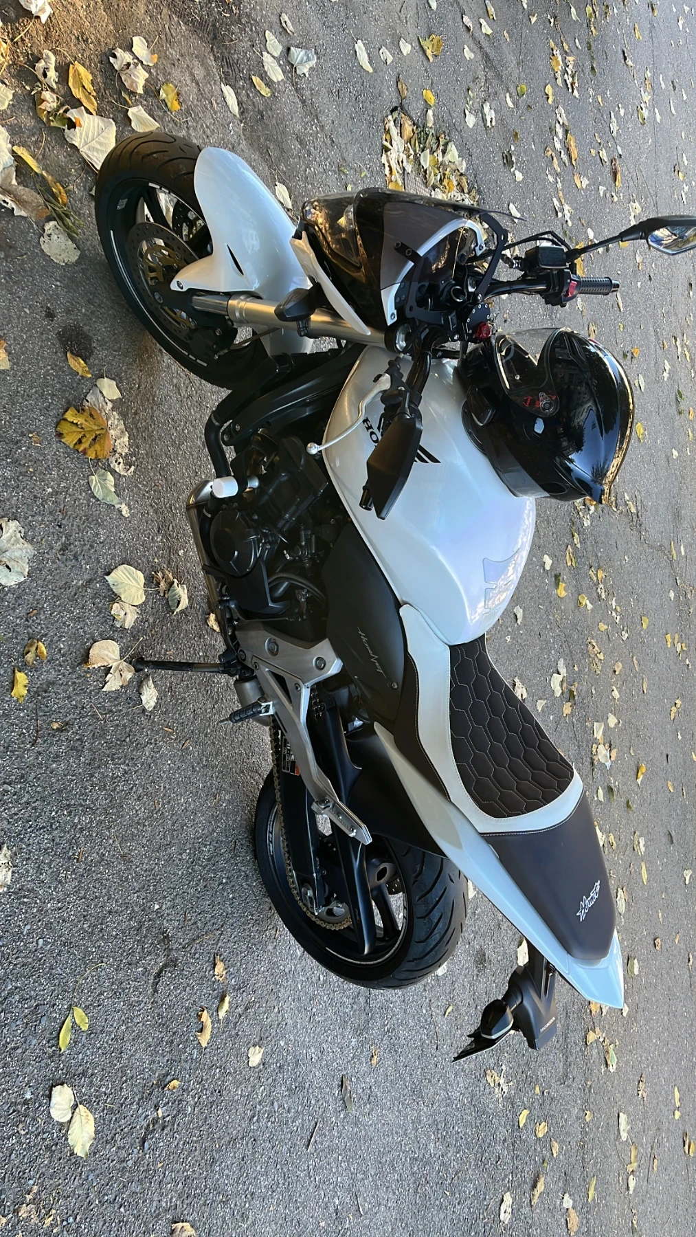 Honda Cb 600 F (Hornet) - изображение 8