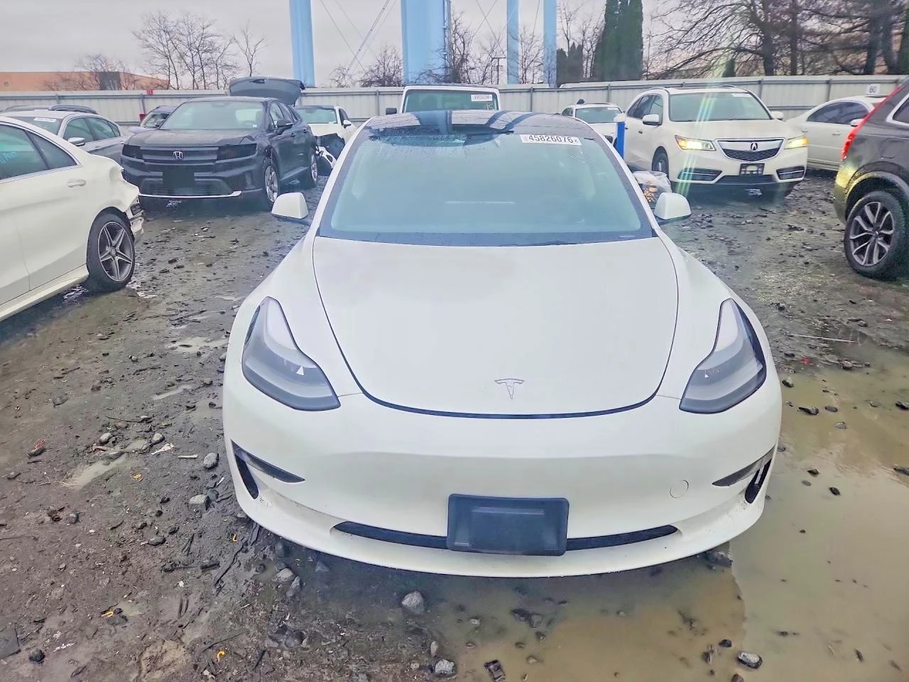 Tesla Model 3, снимка 5 - Автомобили и джипове - 54273351