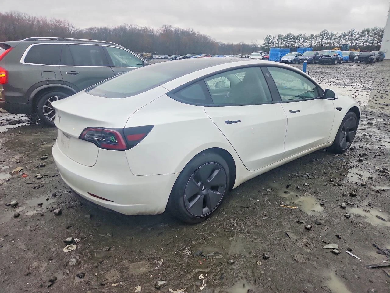 Tesla Model 3, снимка 3 - Автомобили и джипове - 54273351