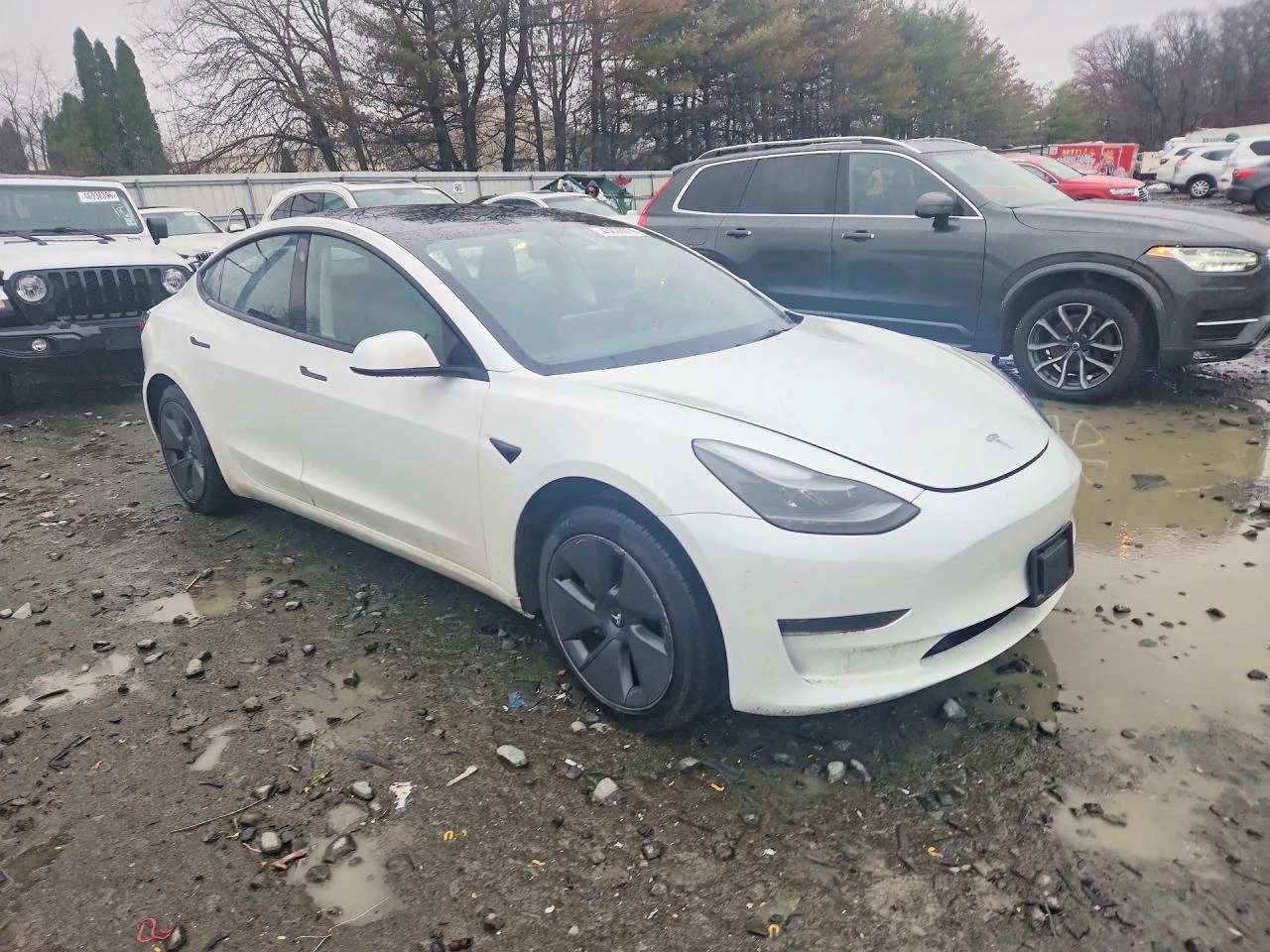 Tesla Model 3, снимка 4 - Автомобили и джипове - 54273351