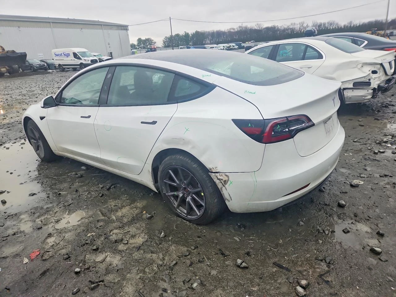 Tesla Model 3, снимка 2 - Автомобили и джипове - 54273351