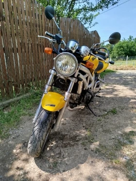     Suzuki SV 650