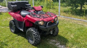  Kawasaki Brute Force