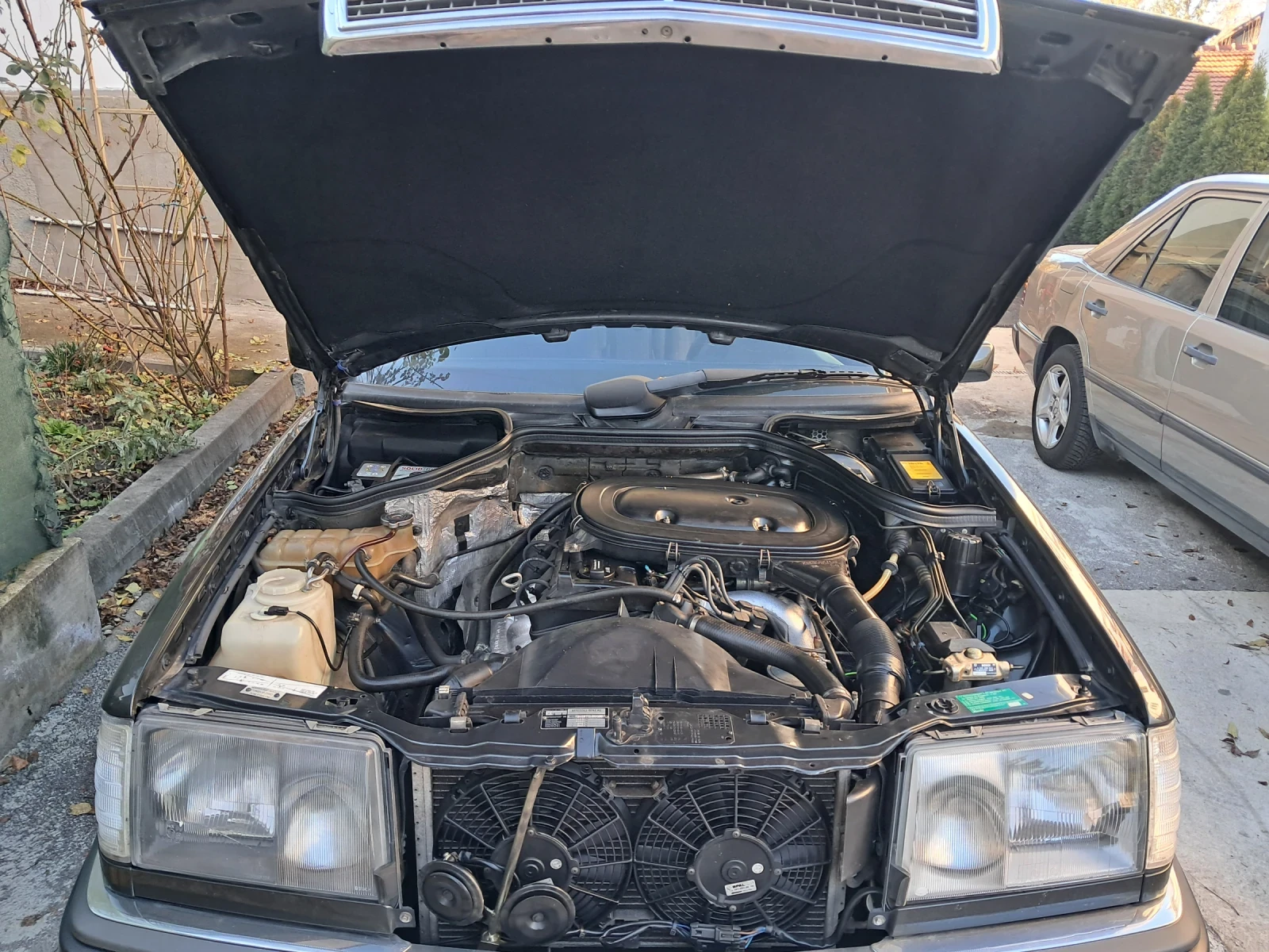 Mercedes-Benz 124 100%     |   20.12 | Mobile.bg   17