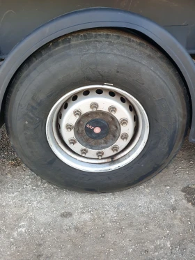  Wielton 50m3   | Mobile.bg    11