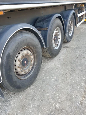  Wielton 50m3   | Mobile.bg    10