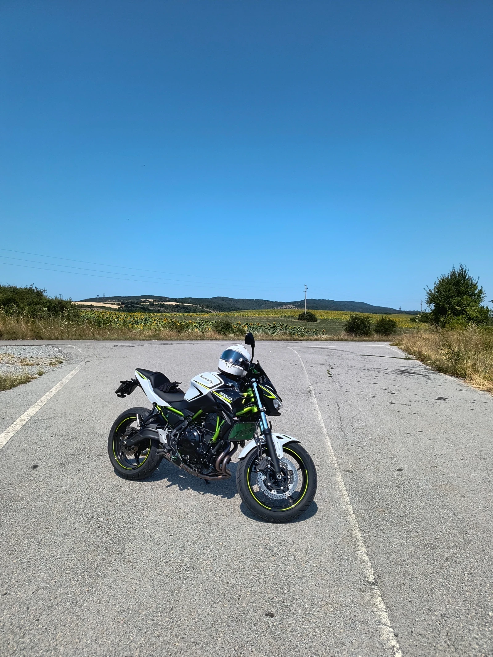 Kawasaki Z  - изображение 2