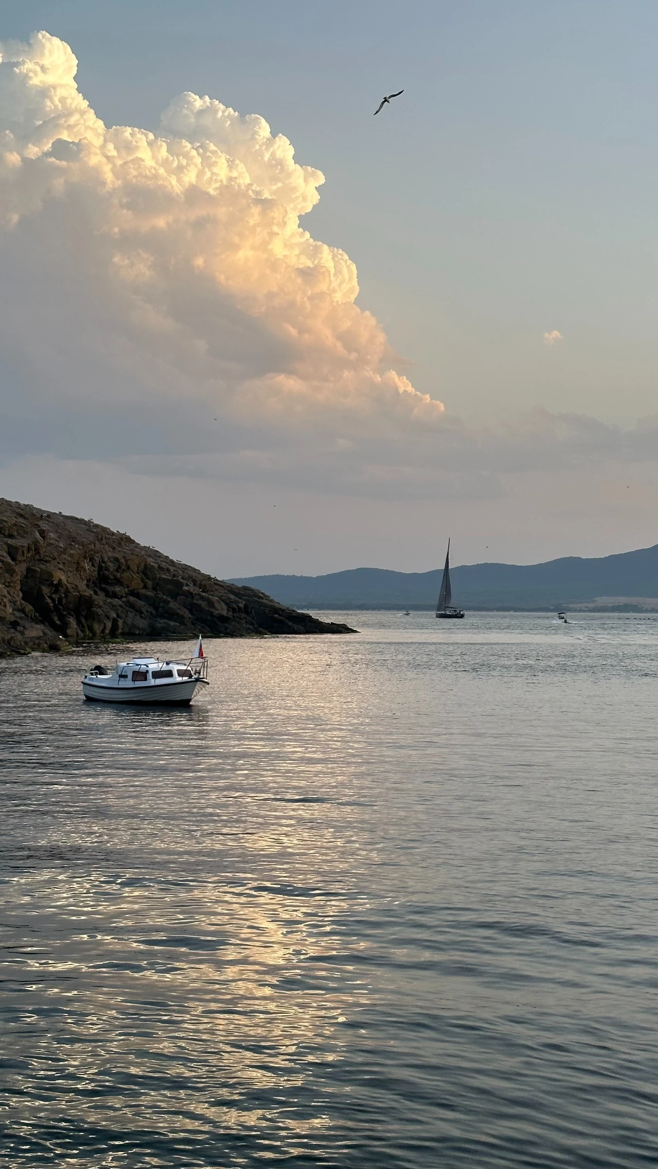 ����� ��������� ������������ | Mobile.bg � ����������� 9