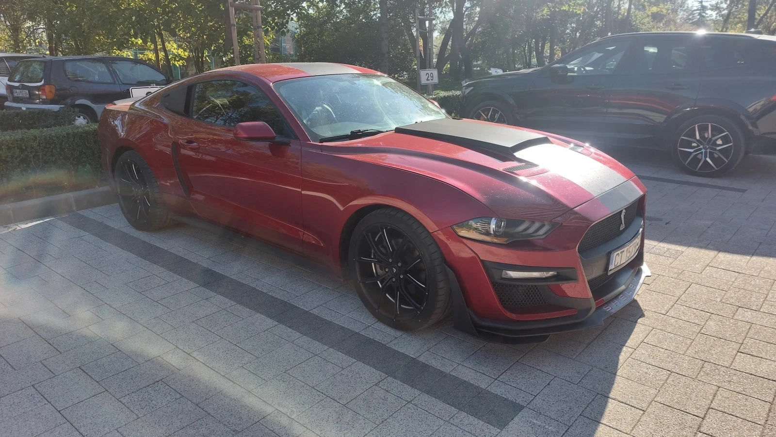 Ford Mustang МК6 - изображение 2