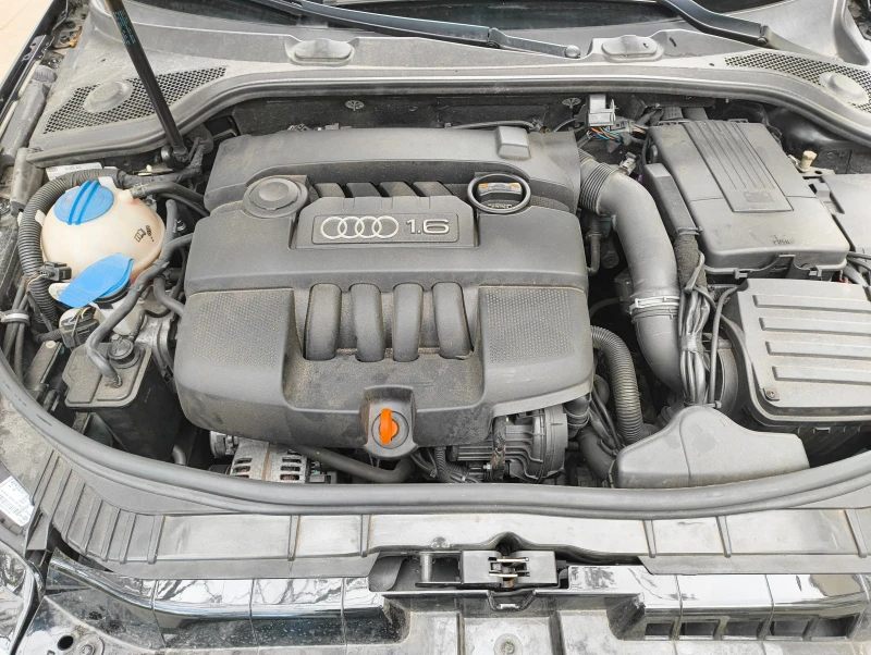 Audi A3 1.6 MPI. LPG, снимка 14 - Автомобили и джипове - 52379218