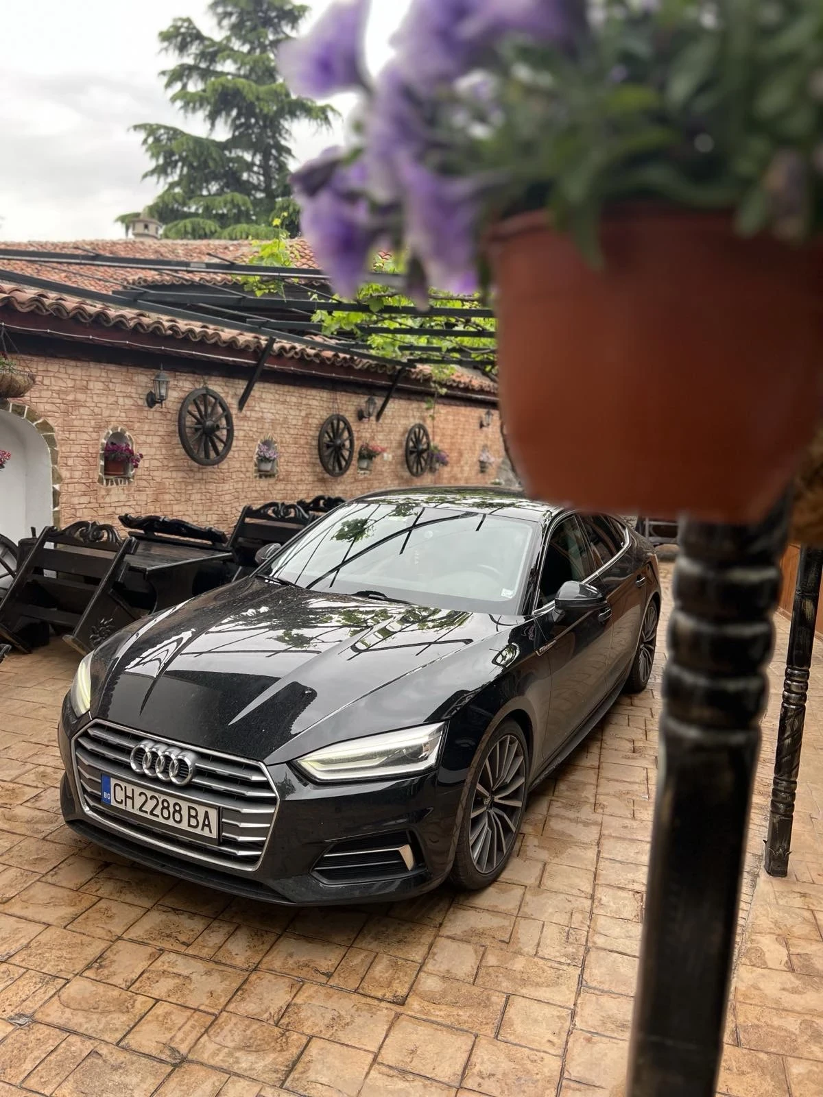 Audi A5  - изображение 4
