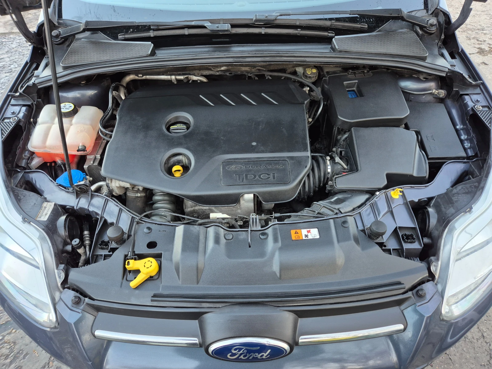Ford Focus 1.6 HDI-������ | Mobile.bg � ����������� 13